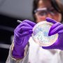مهندسی باکتری E.coli برای مصرف کربن‌دی‌اکسید